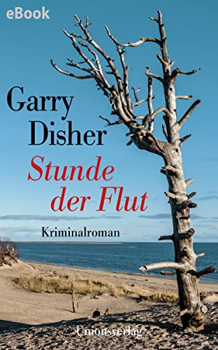 Rezension zu »Stunde der Flut«