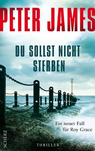 Leseeindruck zu »Du sollst nicht sterben« von Peter James