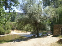 Agriturismo Canales in Lago del Cedrino