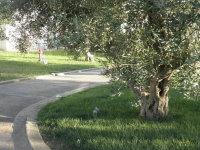 Iberotel Apulia in Ugento